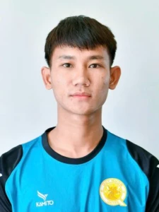 Mai Việt Hoàng
